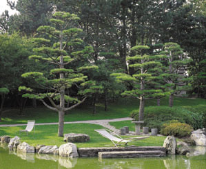 Copyright by cdldesign